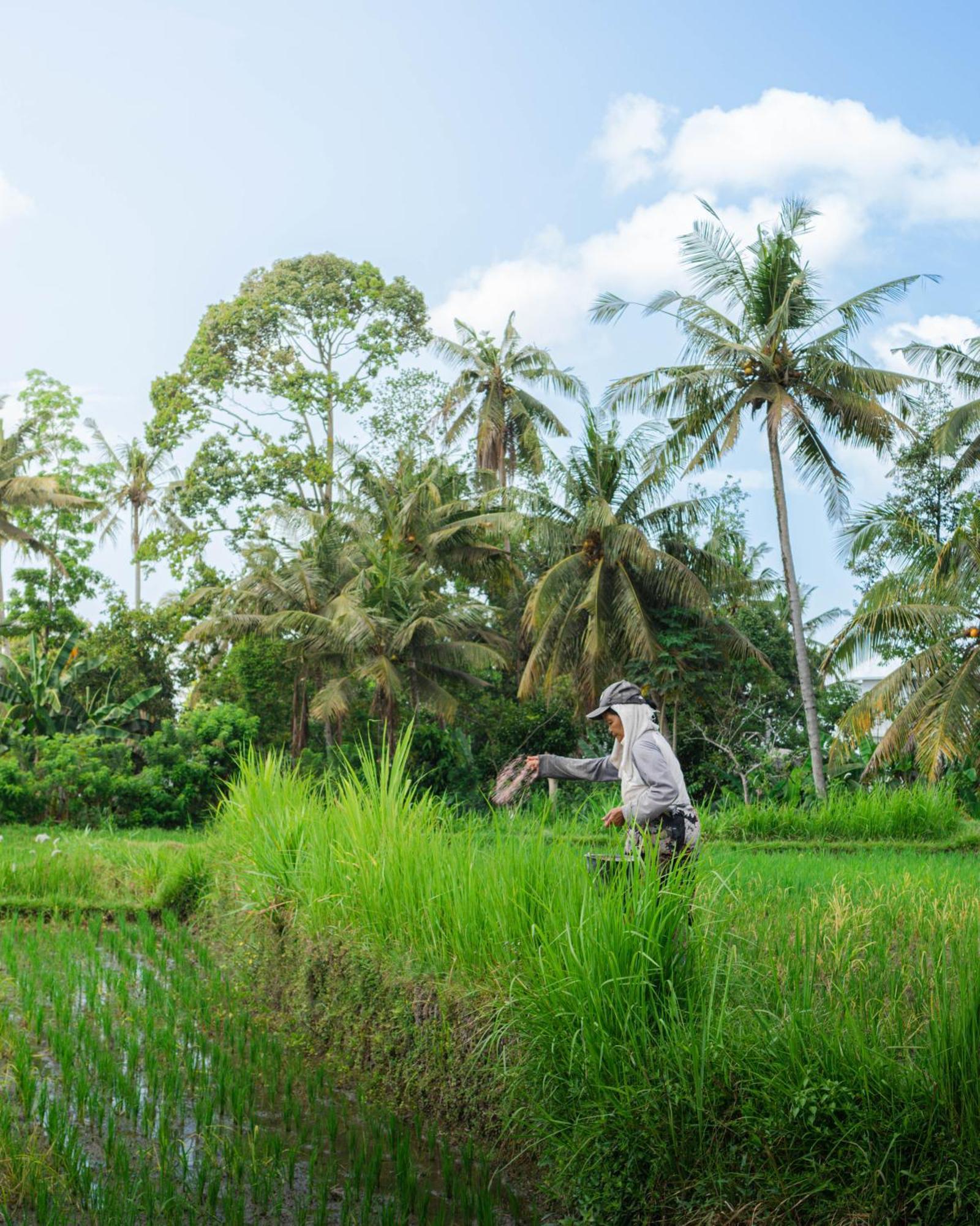 Tannari Villa Ubud Экстерьер фото